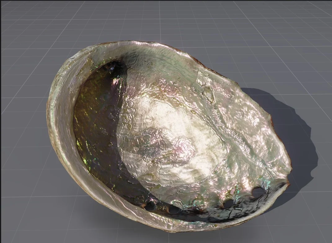 The inside of an abalone shell, its nacre shifting between green, pink and gold
                across the surface.